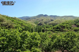 燕山山脉养殖基地